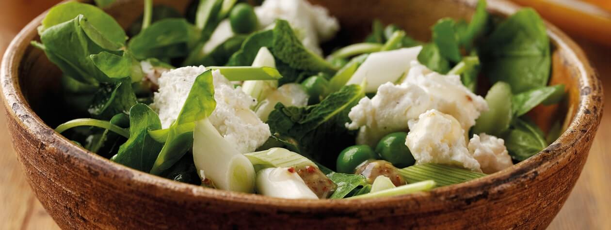 Garden Pea and Salted Yoghurt Minted Salad